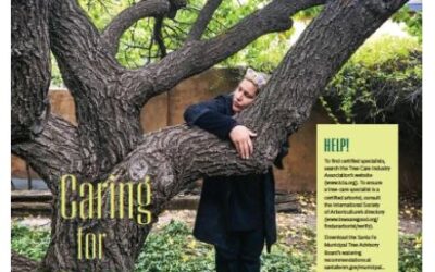 Ryan lends his expertise for this helpful article!