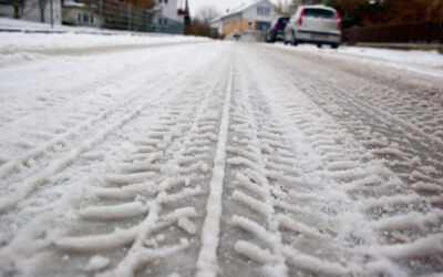 De-Icing Salt Can Harm Trees and Landscape Plants